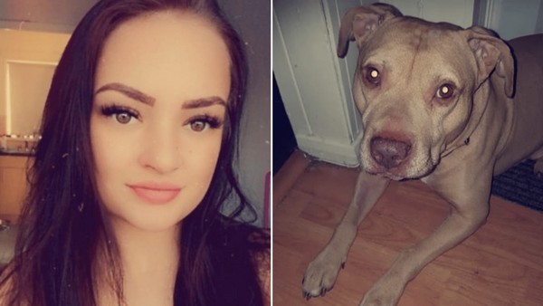 Rethel : une jeune fille de 15 ans gravement mordue par un chien